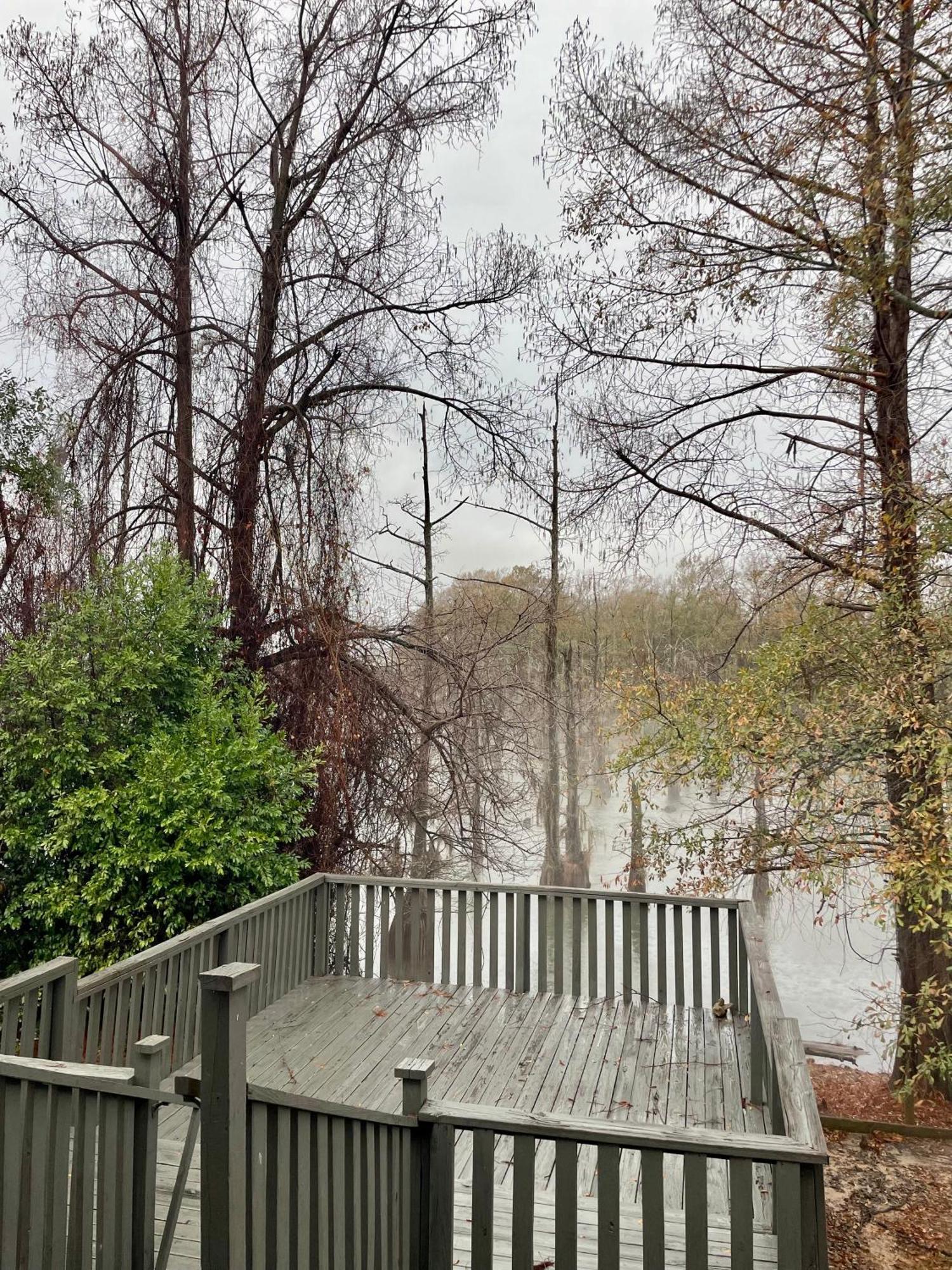 Bayou And Beyond Bayou View مونرو المظهر الخارجي الصورة