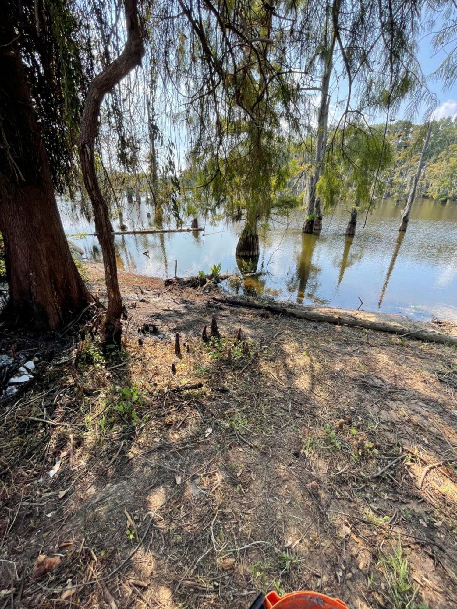 Bayou And Beyond Bayou View مونرو المظهر الخارجي الصورة