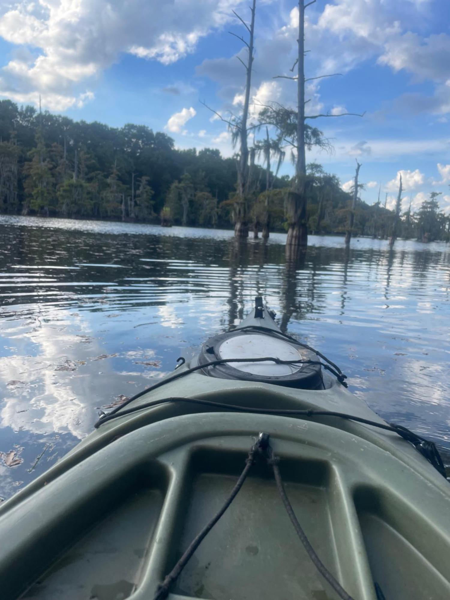 Bayou And Beyond Bayou View مونرو المظهر الخارجي الصورة